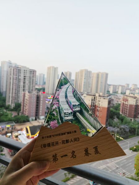文件:第十三届 春暖花开·花影人间 奖杯.jpg